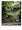 Landscapes for Small Spaces: Japanese Courtyard Gardens