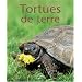 Tortues de terre