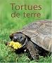 Tortues de terre