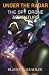 Book Under the Radar: The Spy Drone Adventure