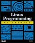 Linux Programming by Example (By Example)