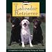 Breed Basics, The Labrador Retriever : A Comprehensive Guide to Buying, Owning, and Training (Breed Basics, 1)