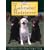 Breed Basics, The Labrador Retriever : A Comprehensive Guide to Buying, Owning, and Training (Breed Basics, 1)
