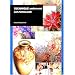 Technique am�ricaine sur porcelaine