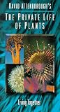 Private Life of Plants 5: Living Together
