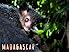 Madagascar - Season 1