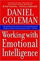 Working with Emotional Intelligence