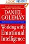 Working with Emotional Intelligence