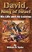 Book David, King of Israel: His Life and Its Lessons