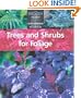 Trees and Shrubs for Foliage (The Woody Plant)
