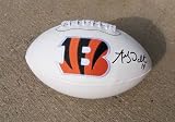 ANDY DALTON SIGNED AUTOGRAPHED CINCINNATI BENGALS LOGO FOOTBALL COA + HOLOGRAM