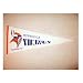 NFL Minnesota Vikings Throwback Wool Blend Pennant
