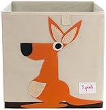 3 Sprouts Storage Box, Orange