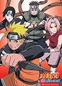 Naruto Shippuden Team Kakashi Cloth Wall Scroll Poster GE-5261