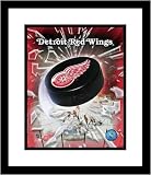 Detroit Red Wings Team Logo and Puck Collage Framed 8×10 Photograph 515GVN 0meL. SL160 2008 Arizona DiamondBacks Photograph in a 11 x 14 Deluxe Photograph Frame