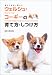 ウェルシュ・コーギーの育て方・しつけ方 (愛犬と仲良く暮らす)