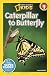 National Geographic Readers: Caterpillar to Butterfly