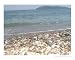 Skiathos Greek Island Places Photographic Poster Print by Andrew P Simpson, 10x8