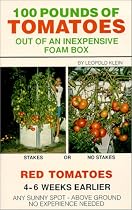 100 Pounds of Tomatoes Out of an Inexpensive Foam Box