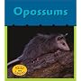 Opossums (What's Awake)