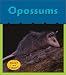 Opossums (What's Awake)