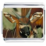 Deer Animal Photo Italian Charms Bracelet Link