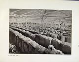 HALT CARAVAN PESHAWUR WOOL SHOW ROOM PHOTOGRAPHS