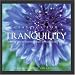 Classics for Tranquility