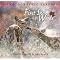Picture Books for Fall