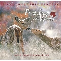 A Photographic Fantasy