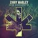 Ziggy Marley in Concert