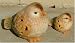 Momma and Baby Bird Decorative Garden Statuary