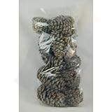 Magical Color Pine Cone Firestarters 1lb for Fireplace
