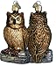 Wise Old Owl Ornament