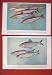 Fish Herring Tautog Smelt Swordfish Sea Colored Print