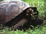 ガラパゴス―進化の鼓動