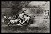 Francisco de Goya y Lucientes (Follow the Tauromaquia, Sheet B: Picador, recorded from bull) Framed Art Poster Print - 11 X 17