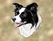 Border Collie Woven Lap Square (Throw Blanket)