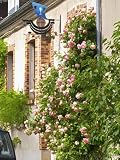 House with Rose Bushes and Wrought Iron Sign, Hautvillers, Vallee De La Marne, Champagne, France Photographic Poster Print by Per Karlsson, 18x24 515H5%2BgHS0L. SL160 House with Rose Bushes and Wrought Iron Sign, Hautvillers, Vallee De La Marne, Champagne, France Photographic Poster Print by Per Karlsson, 18x24