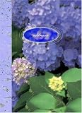 Paradise Found Mini Address Book