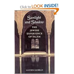Sunlight and Shadow: The Jewish Experience of Islam
