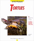 Les tortues