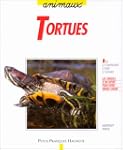 Les tortues