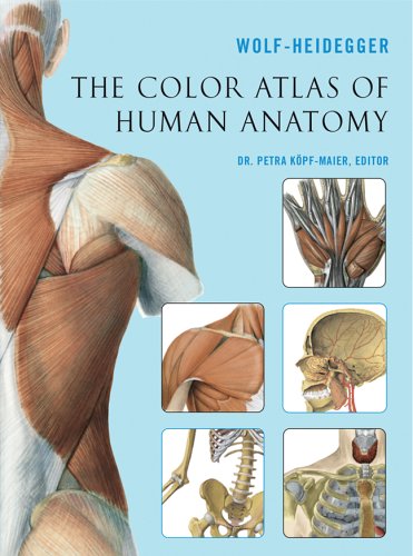 enlarge The Color Atlas of Human Anatomy