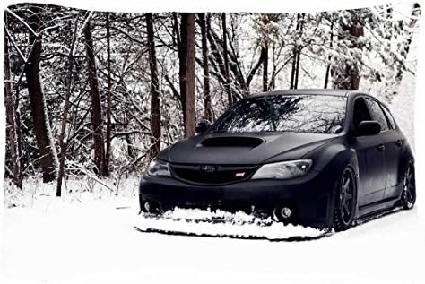 Microfiber Peach Standard Soft And Silky Decorative Pillow Case (20 * 26 Inch) - Nature Snow Snow Cars Subaru Black Cars Subaru Impreza Wrx Sti Nature Snow