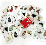 3D Cat Playing Cards