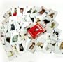 3-D Cat Playing Cards