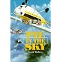 Pie in the Sky