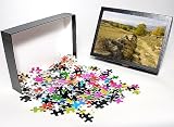 Photo Jigsaw Puzzle of General view of high plateau in east Pyrenees, west of Eyne, nr. Font Romeu - from Ardea Wildlife Pets