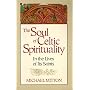 The Soul of Celtic Spirituality: In the Lives of I&hellip by Michael Mitton